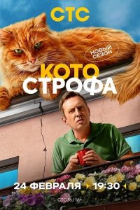 Котострофа